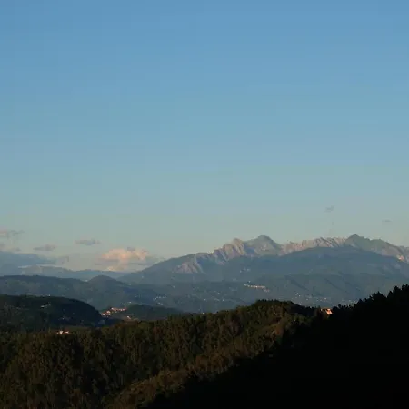Il Volto