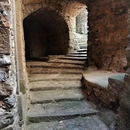Il Volto