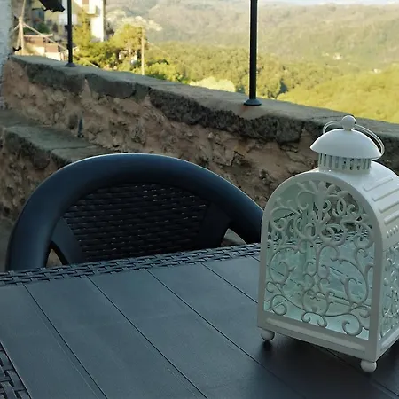 Il Volto *
