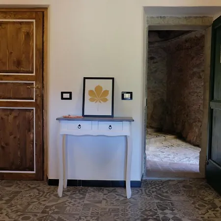 Il Volto