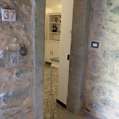 Il Volto