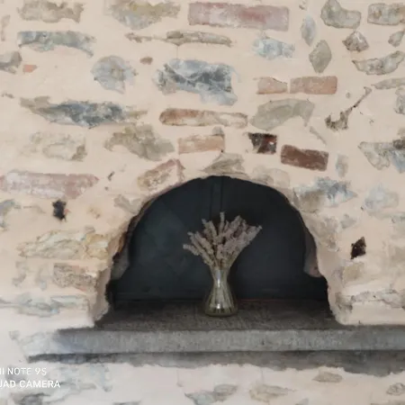 Il Volto